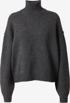 WEEKDAY Basic Truien Trui Norah Dames Donkergrijs